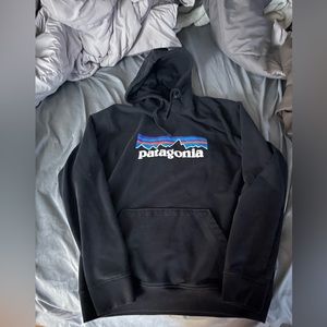 Patagonia organic fleece hoodie